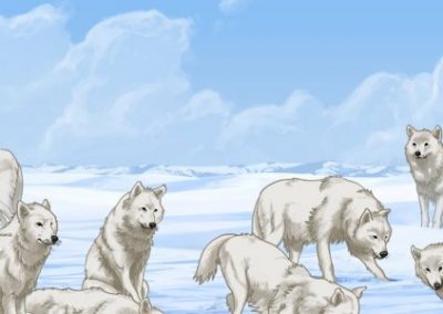 ᓂᕐᔪᑏᑦ ᑎᑎᕋᐅᔭᖅᓯᒪᔪᑦ: ᐅᑭᐅᑕᖅᑐᒥᐅᑦ ᐊᒪᕈᖏᑦ Animals Illustrated: Arctic Wolf (Inuktitut)