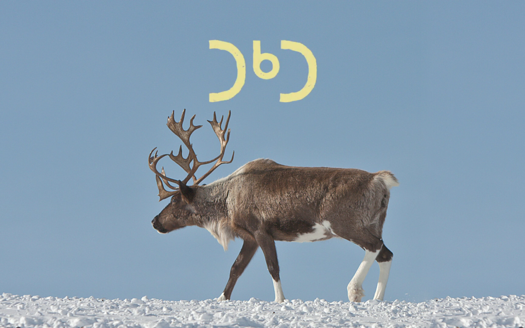 More Read-Along Inuktitut Videos