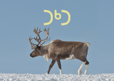 More Read-Along Inuktitut Videos